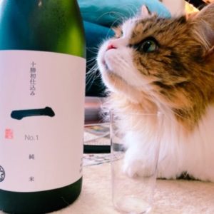 飲み比べ】新政「陽乃鳥」土田「Tsuchida K」宮泉銘醸「會津宮泉」貴