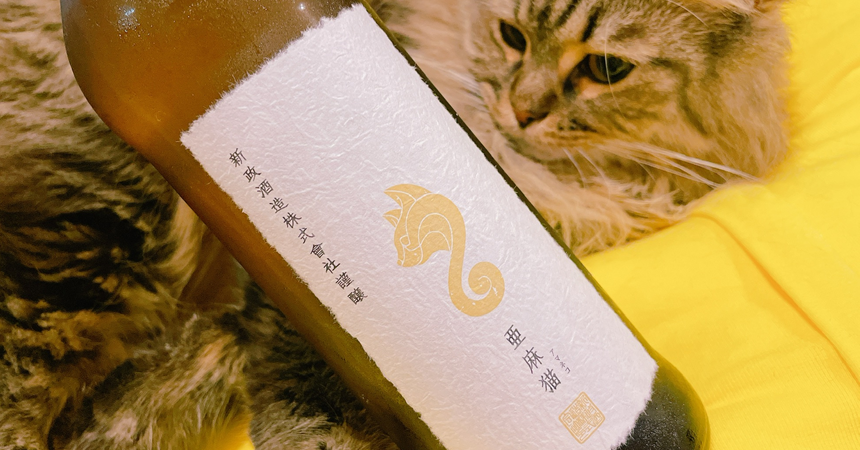 本日の1本】新政 亜麻猫（あまねこ）白麴で醸される「高酸味系日本酒 