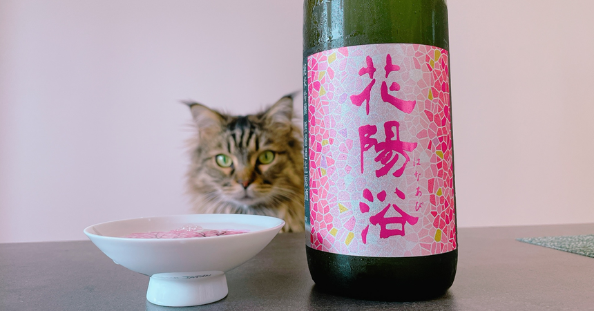 【本日の1本】花陽浴（はなあび）純米吟醸「備前雄町」ピンクのラべルに恋をした日本酒その味わいは？